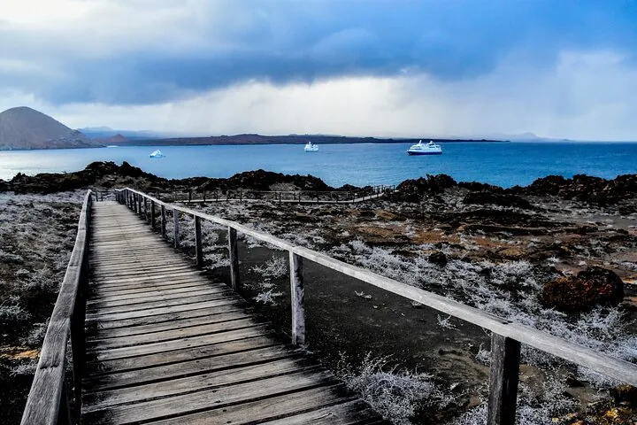 A wooden boardwalk leading towards the ocean with ships visible in the distance.