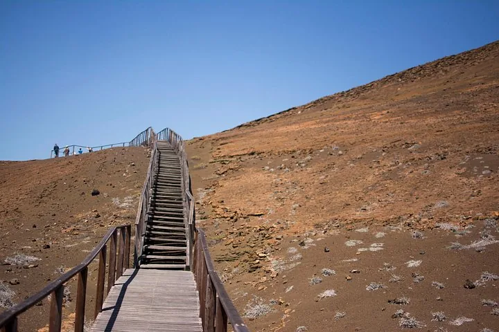 Escalera de madera que serpentea por el terreno rocoso y árido de la Isla Bartolomé.