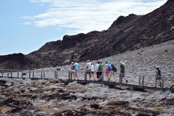Eine Gruppe von Touristen, die auf einem Holzsteg durch vulkanisches Gelände geht.
